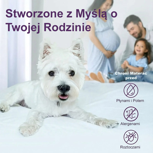 CLOUDREAM-3831127613059-PL-5__301225